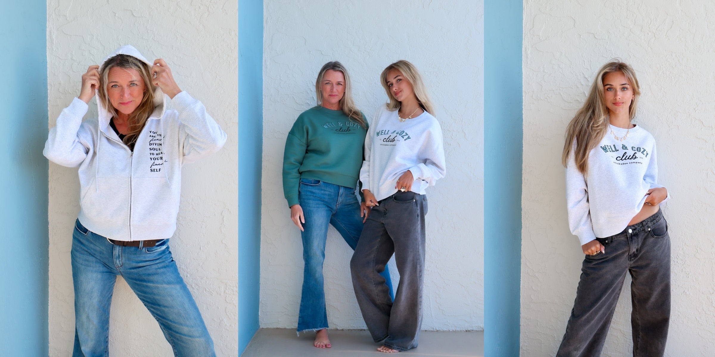 feed the birds nourish nature eco-friendly charcoal colored hoodie. screen printed text in black with feed the birds & our chickadee co. logo.