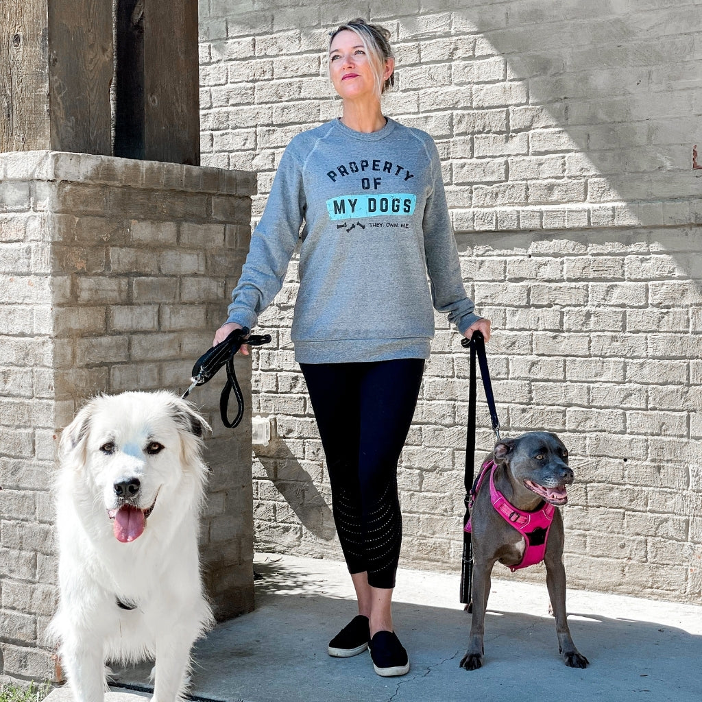 dog sweatshirt for humans.  unisex crew sweatshirt with property of my dogs text, they own me.  gray vintage sweatshirt for dog lovers.  black & blue text on gray sweatshirt.  woman walking 2 dogs on leashes with dog sweatshirt on.